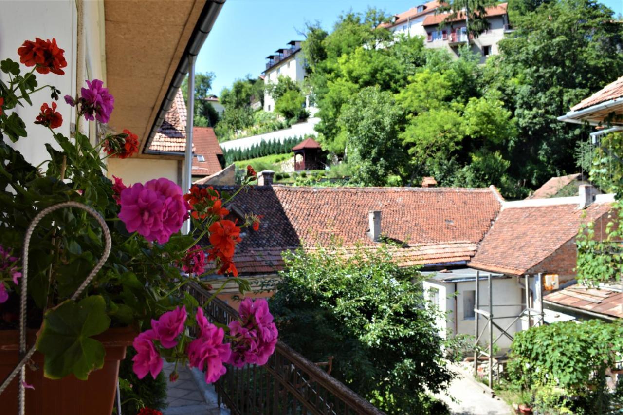 Eco * Brasov